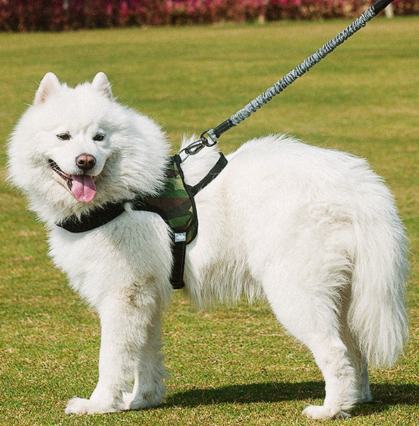 Adjustable Pet Chest Harness With Walking Leash